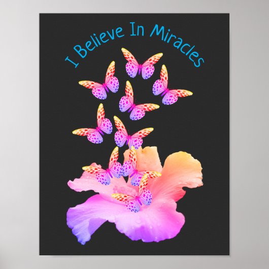 Poster Croire En Miracles Hibiscus Flower Butterflies (Devant)