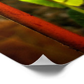 Poster croissance. (Coin)