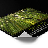 Poster Croissance (Coin)