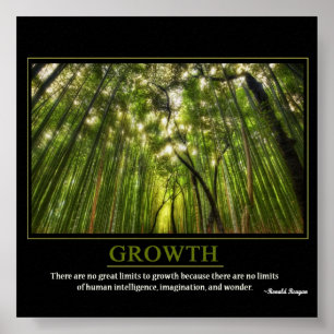 Poster Croissance