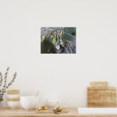 Poster Croissance dans les jardins de Limahuli (Cuisine)