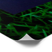 Poster Croissance dont nous avons tous besoin (Coin)