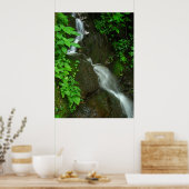 Poster Croissance graduelle (Cuisine)