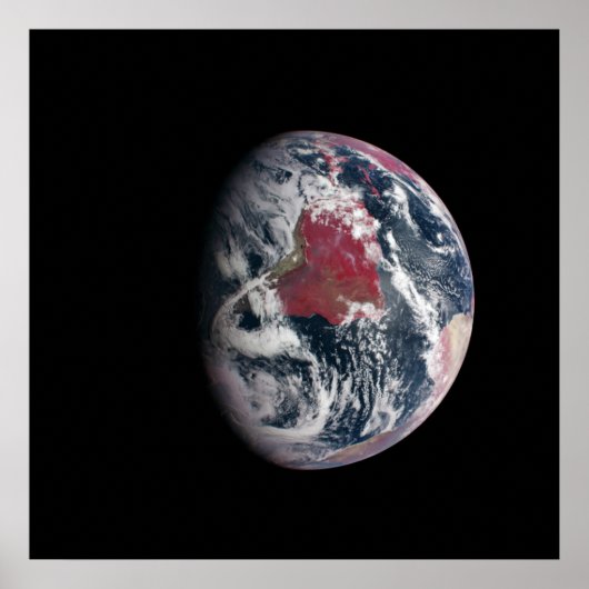 Poster Croissance plante Sur La Planète Terre. (Devant)