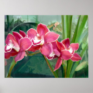 Poster Croissant de Cymbidium