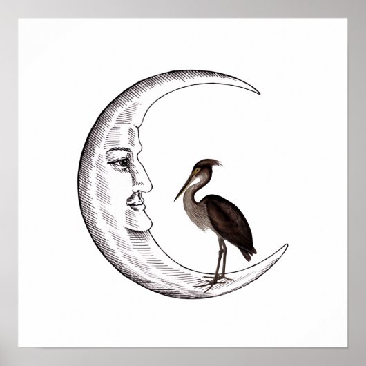 Poster Croissant de lune avec visage avec Héron à gros be (Devant)