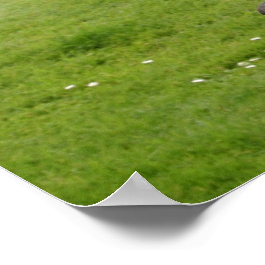 Poster Croix celtique Irlande (Coin)