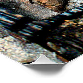 Poster Croix de force (Coin)