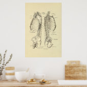 Poster Croix du squelette humain de la colonne vertébrale (Cuisine)