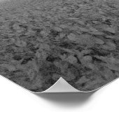 Poster Crop Duster, 1938. Photo vintage (Coin)