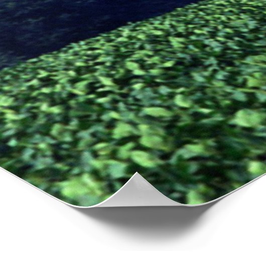 Poster Cropduster (Coin)