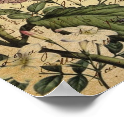 Poster cropt hydrangea bird french botanical (Coin)