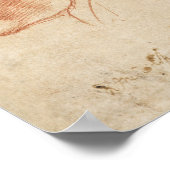 Poster Croquis anatomique vintage (Coin)