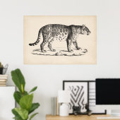 Poster Croquis Brodtmann Leopard (Bureau à domicile)