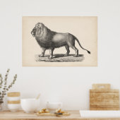 Poster Croquis Brodtmann Lion (Cuisine)