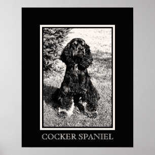Poster Croquis Cocker Spaniel