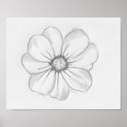 Poster Croquis de fleurs (Devant)