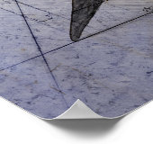 Poster Croquis de Megalodon (Coin)