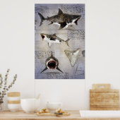 Poster Croquis de Megalodon (Cuisine)