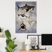 Poster Croquis de Megalodon (Bureau à domicile)