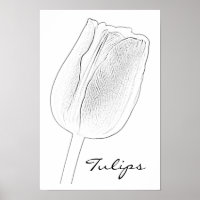 Croquis de tulipe