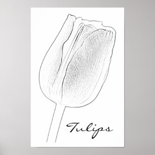 Poster Croquis de tulipe
