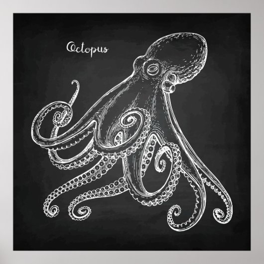 Poster Croquis d'octopus (Devant)
