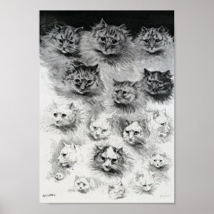 Poster Croquis du chat, Louis Wain