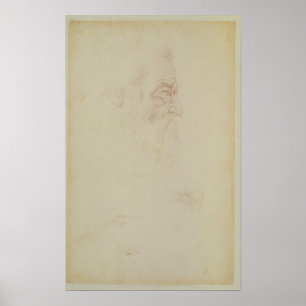 Poster Croquis d'une tête mâle et de deux jambes