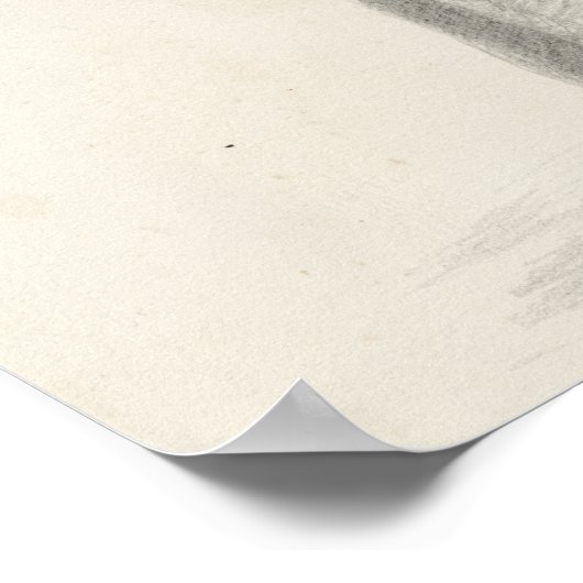 Poster Croquis éléphant (Coin)