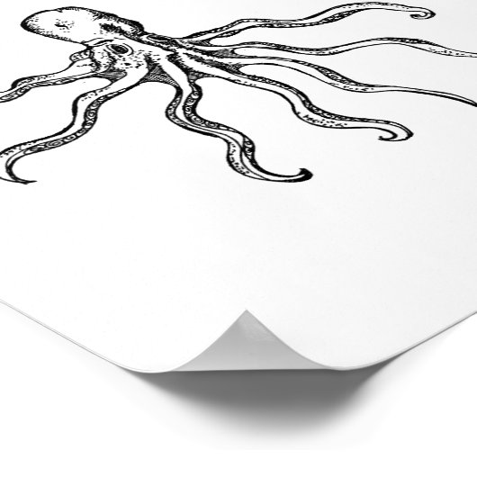 Poster Croquis octopique Imprimer (Coin)