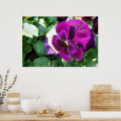 Poster Croquis Pansy Rose (Cuisine)