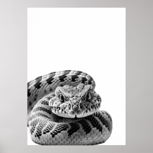 Poster Crotlesnake Woodland Moderne Portrait noir blanc (Devant)