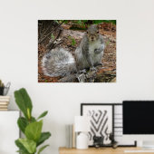 Poster Crouching Squirrel (Bureau à domicile)