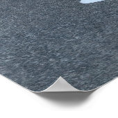 Poster Crow et Magpie (Coin)