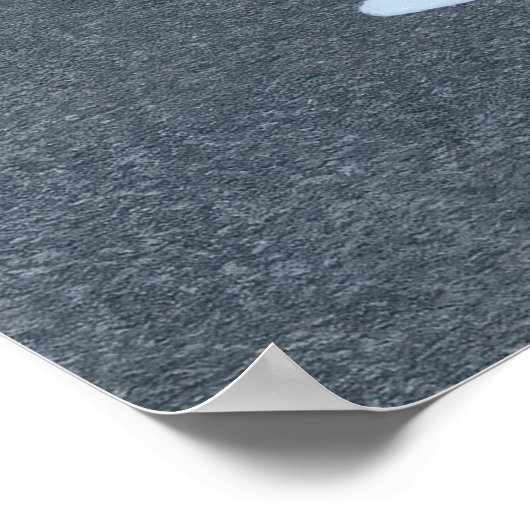 Poster Crow et Magpie (Coin)