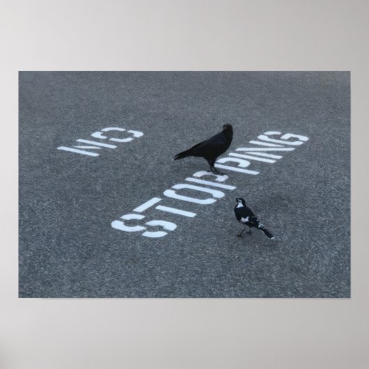 Poster Crow et Magpie (Devant)