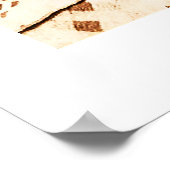 Poster Crow Indian 1880 (Coin)