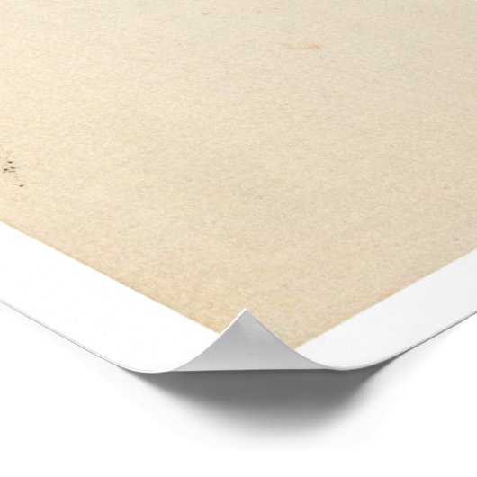 Poster Crow on a Snowy Branch by Ohara Koson (Coin)