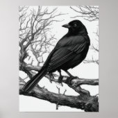 Poster Crow Perched on Bare Winter Branches (Devant)