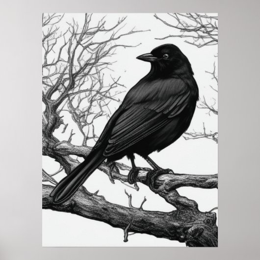 Poster Crow Perched on Bare Winter Branches (Devant)