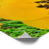 Poster Croyez En Votre Plus Grand Potentiel. (Coin)