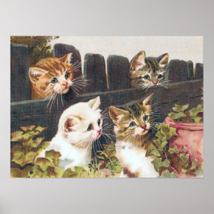 Poster Cru de "quatre chatons"