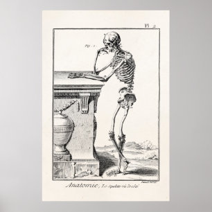 Poster Cru pensant l'anatomie Médicale squelettique