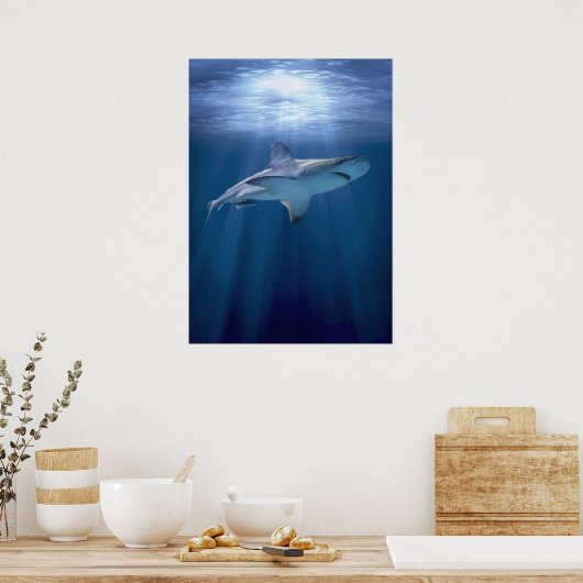 Poster Cruising Shark (Cuisine)