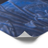Poster Crusing Nurse Shark (Coin)