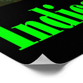 POSTER CRYSTAL INDICA SATIVA (Coin)