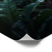 Poster Crystal Panther Night Glow (Coin)