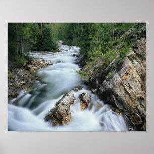 Poster Crystal River, Gunnison National Forest,