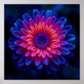 Poster Crystalline Cascade (Devant)